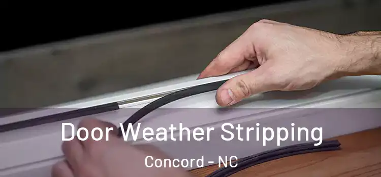 Door Weather Stripping Concord - NC