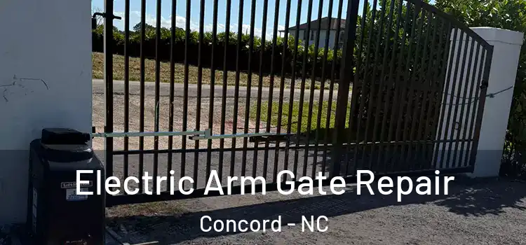 Electric Arm Gate Repair Concord - NC