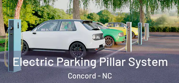 Electric Parking Pillar System Concord - NC
