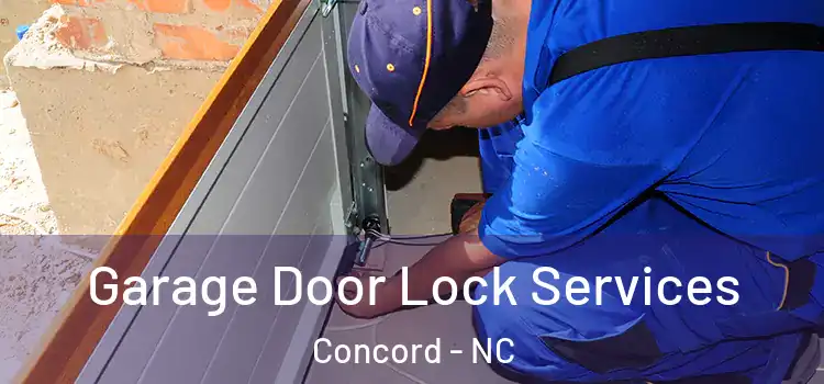 Garage Door Lock Services Concord - NC