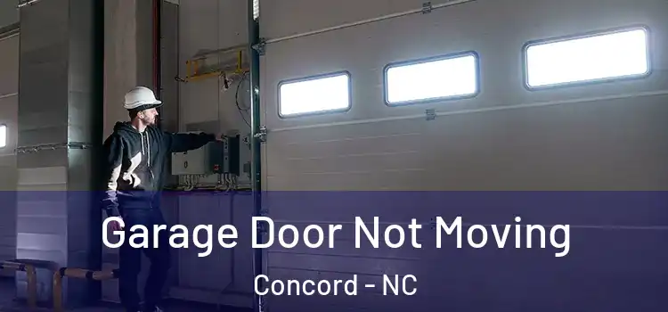  Garage Door Not Moving Concord - NC