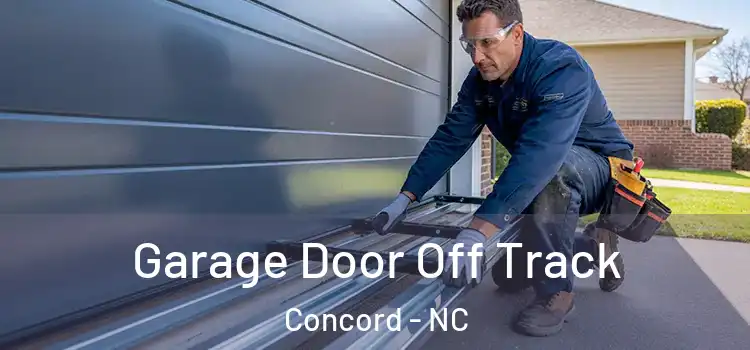  Garage Door Off Track Concord - NC