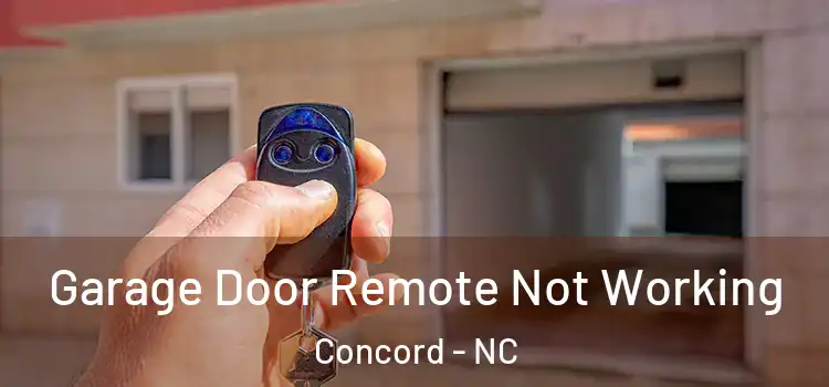  Garage Door Remote Not Working Concord - NC
