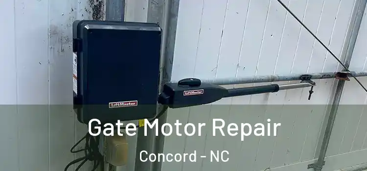Gate Motor Repair Concord - NC