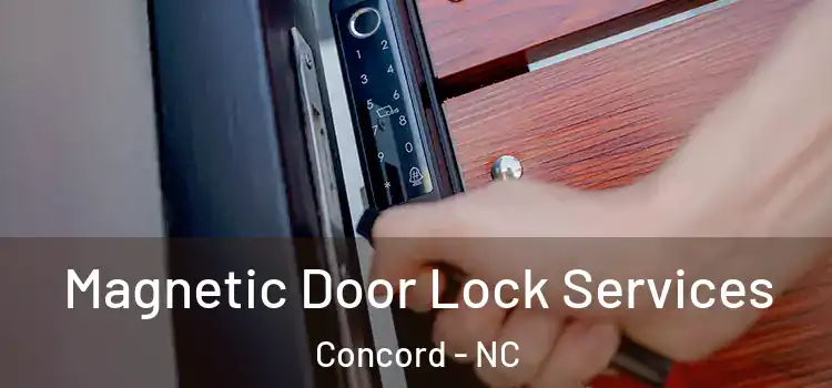 Magnetic Door Lock Services Concord - NC