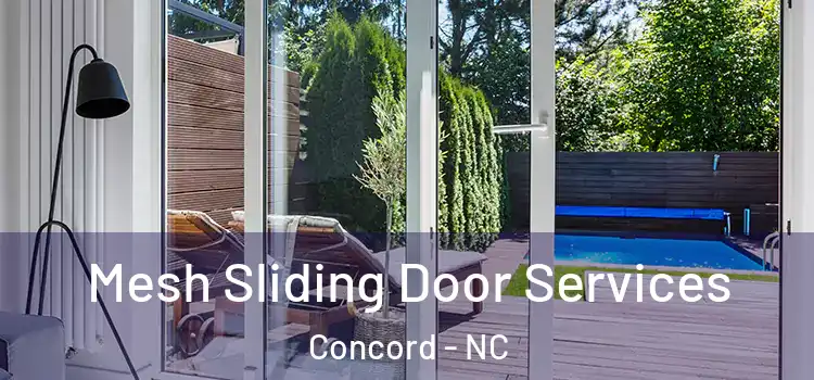 Mesh Sliding Door Services Concord - NC