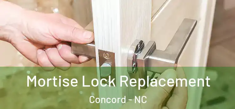 Mortise Lock Replacement Concord - NC