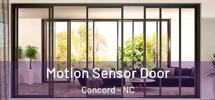 Motion Sensor Door Concord - NC