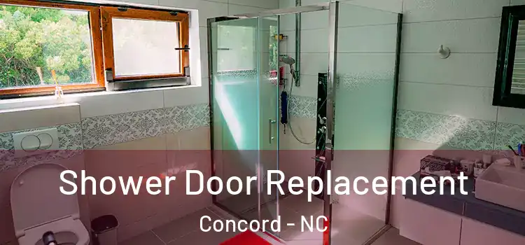 Shower Door Replacement Concord - NC