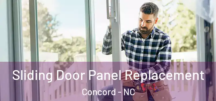  Sliding Door Panel Replacement Concord - NC