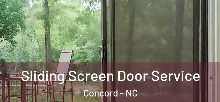 Sliding Screen Door Service Concord - NC